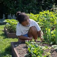 A Goryeb Children's Hospital patient participates in a horticulture therapy program aimed at improving mental and physical health while providing the opportunity to grow, harvest and eat their own food.